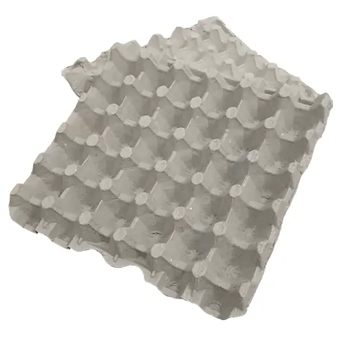 [QMPX-BH30] Egg Tray for 30 Eggs (Batch of One Thousand)